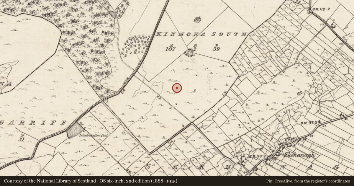 Ordnance Survey six-inch map, 2nd edition (1888–1915) covering the location of Field boundary, Kinmona South, County Galway, with a pin at the register's coordinates