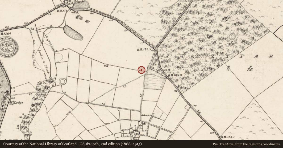 Ordnance Survey six-inch map, 2nd edition (1888–1915) covering the location of Barrow - ring-barrow, Lackan, County Galway, with a pin at the register's coordinates