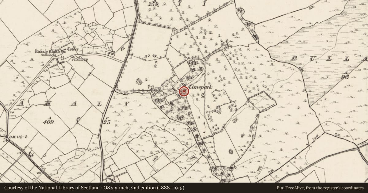 Ordnance Survey six-inch map, 2nd edition (1888–1915) covering the location of Structure, Limepark North, County Galway, with a pin at the register's coordinates