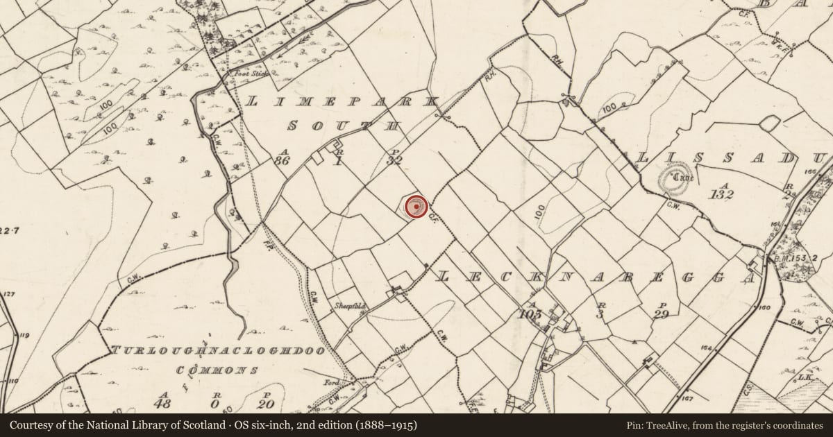 Ordnance Survey six-inch map, 2nd edition (1888–1915) covering the location of Ringfort - rath, Limepark South, County Galway, with a pin at the register's coordinates
