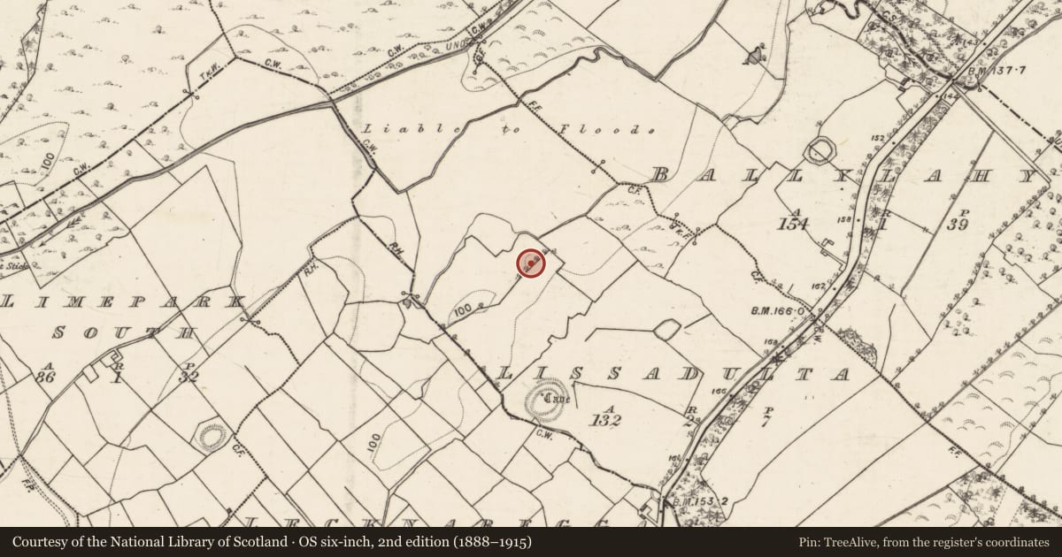 Ordnance Survey six-inch map, 2nd edition (1888–1915) covering the location of Enclosure, Lissadulta, County Galway, with a pin at the register's coordinates