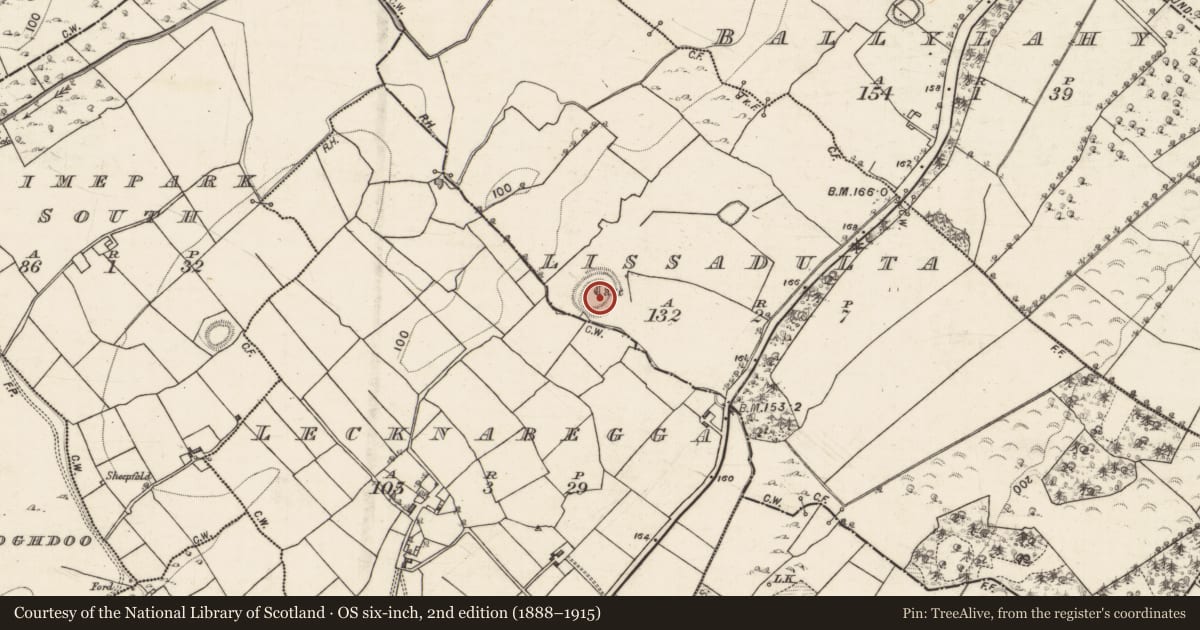 Ordnance Survey six-inch map, 2nd edition (1888–1915) covering the location of Ringfort - rath, Lissadulta, County Galway, with a pin at the register's coordinates