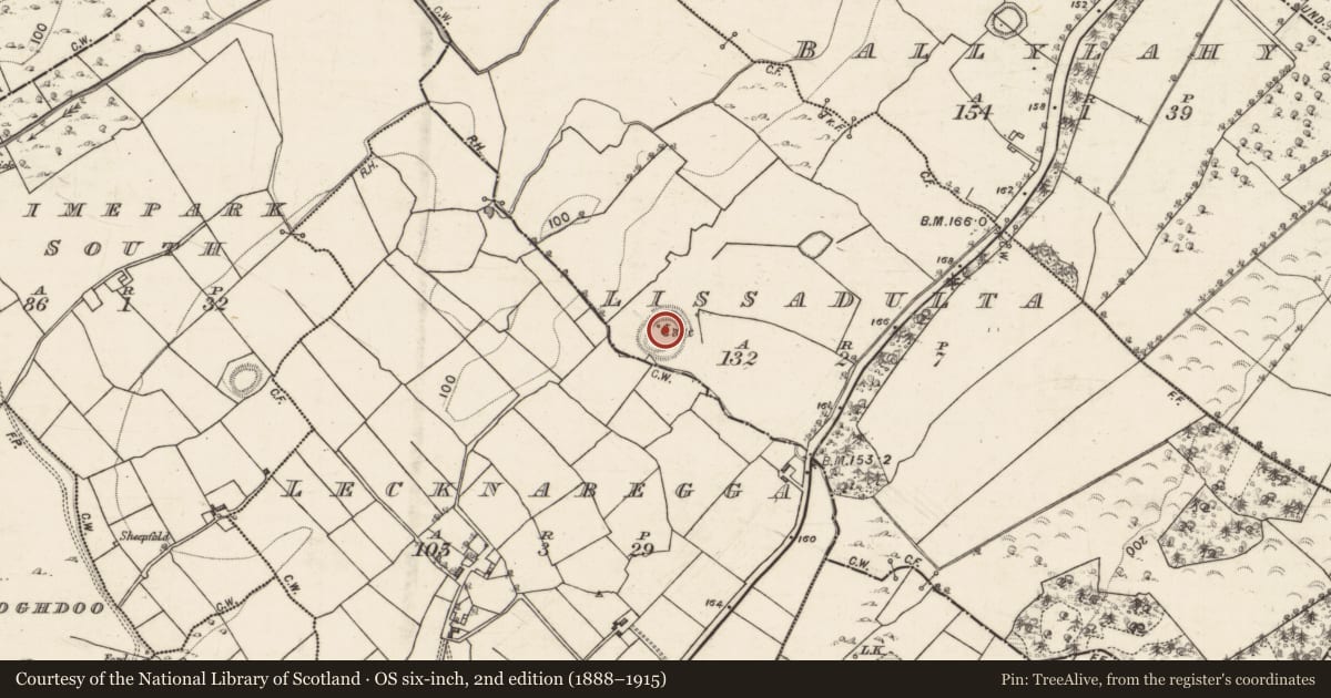 Ordnance Survey six-inch map, 2nd edition (1888–1915) covering the location of Souterrain, Lissadulta, County Galway, with a pin at the register's coordinates
