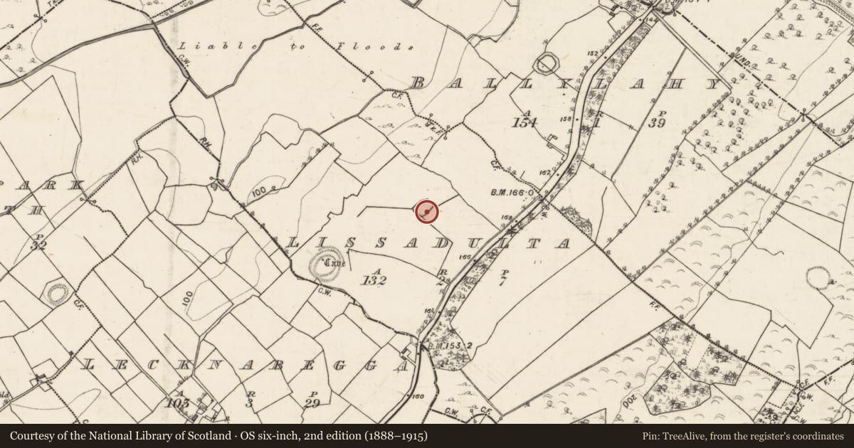 Ordnance Survey six-inch map, 2nd edition (1888–1915) covering the location of Enclosure, Lissadulta, County Galway, with a pin at the register's coordinates