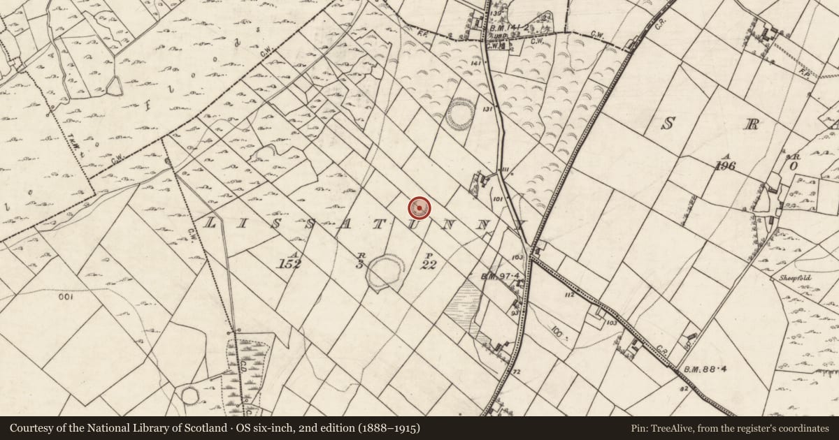 Ordnance Survey six-inch map, 2nd edition (1888–1915) covering the location of Ringfort - rath, Lissatunny, County Galway, with a pin at the register's coordinates