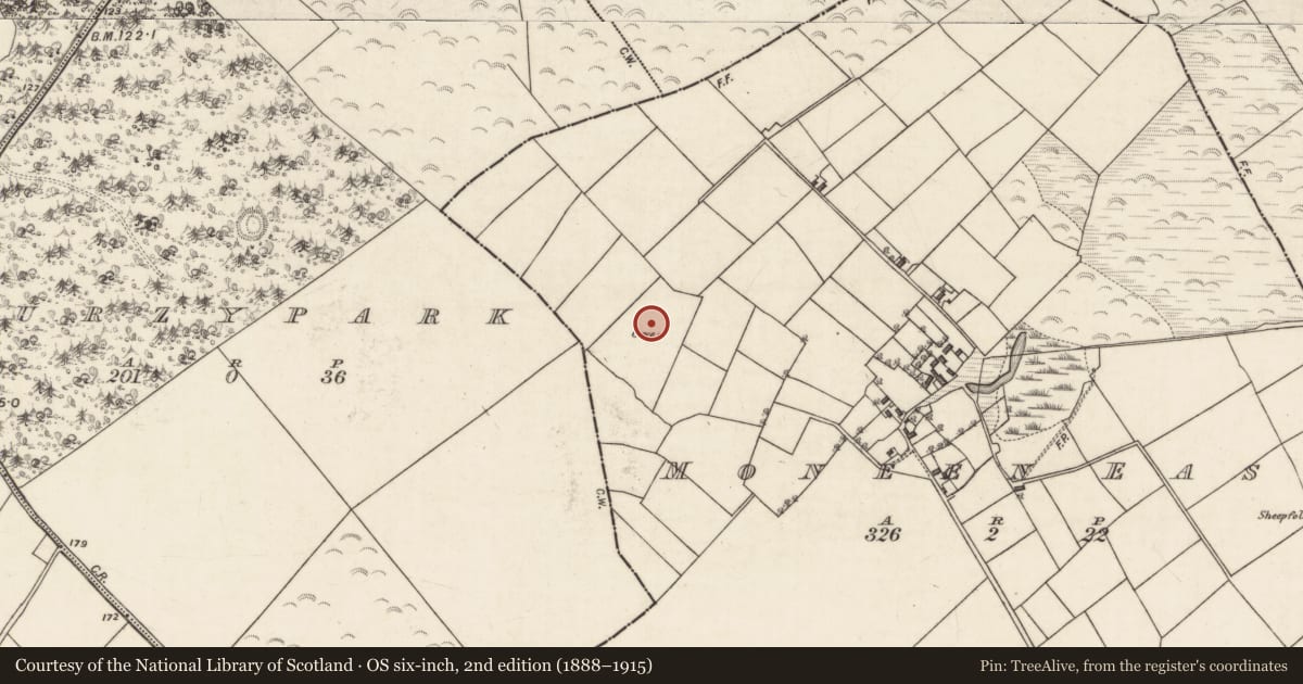 Ordnance Survey six-inch map, 2nd edition (1888–1915) covering the location of Ringfort - rath, Moneen East, County Galway, with a pin at the register's coordinates