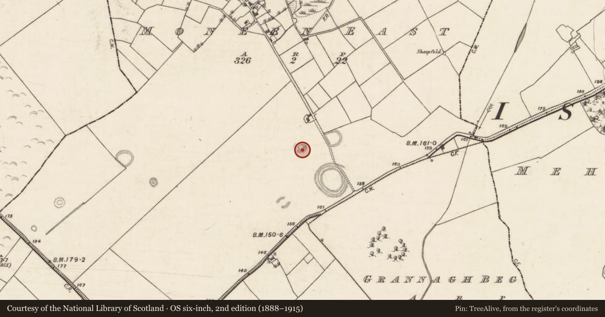 Ordnance Survey six-inch map, 2nd edition (1888–1915) covering the location of Barrow - ring-barrow, Moneen East, County Galway, with a pin at the register's coordinates