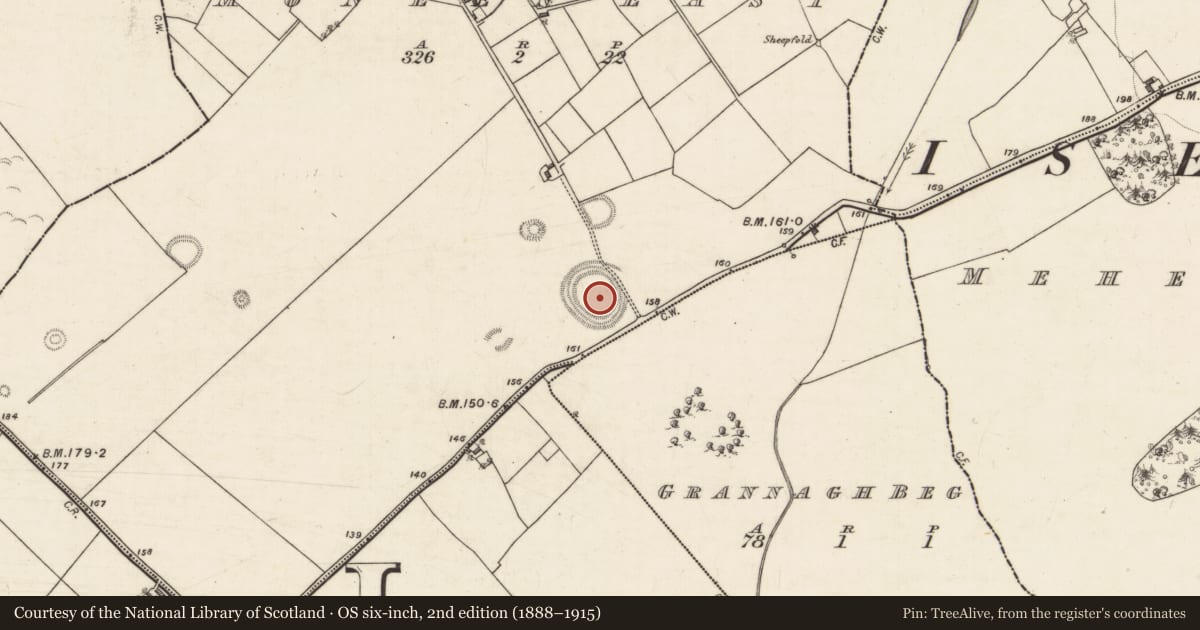 Ordnance Survey six-inch map, 2nd edition (1888–1915) covering the location of Ringfort - rath, Moneen East, County Galway, with a pin at the register's coordinates