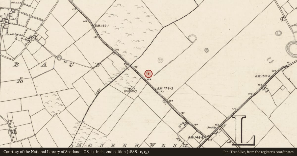 Ordnance Survey six-inch map, 2nd edition (1888–1915) covering the location of Barrow - ring-barrow, Moneen East, County Galway, with a pin at the register's coordinates