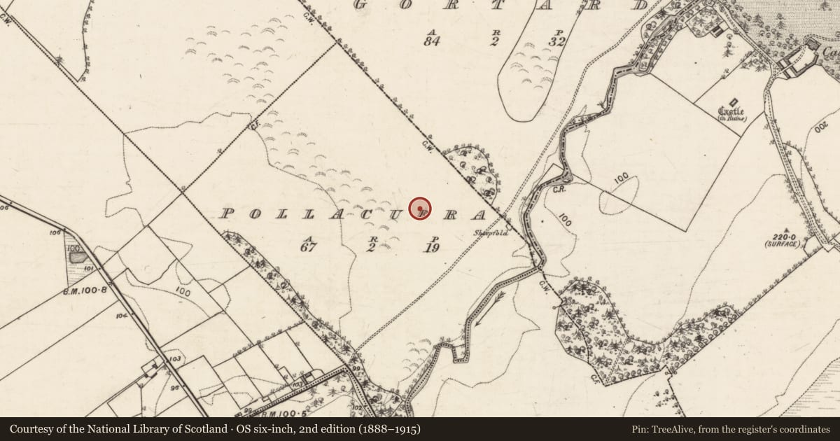 Ordnance Survey six-inch map, 2nd edition (1888–1915) covering the location of Designed landscape feature, Pollacurra, County Galway, with a pin at the register's coordinates