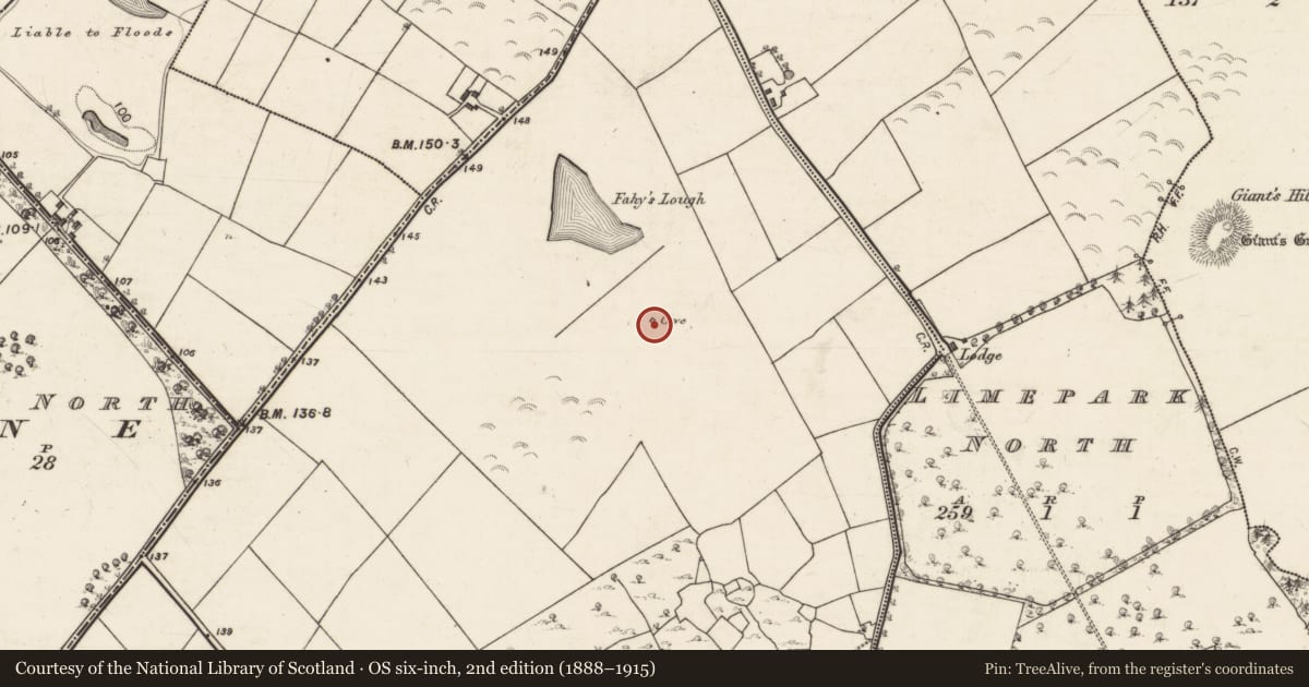 Ordnance Survey six-inch map, 2nd edition (1888–1915) covering the location of Souterrain, Rahaly, County Galway, with a pin at the register's coordinates