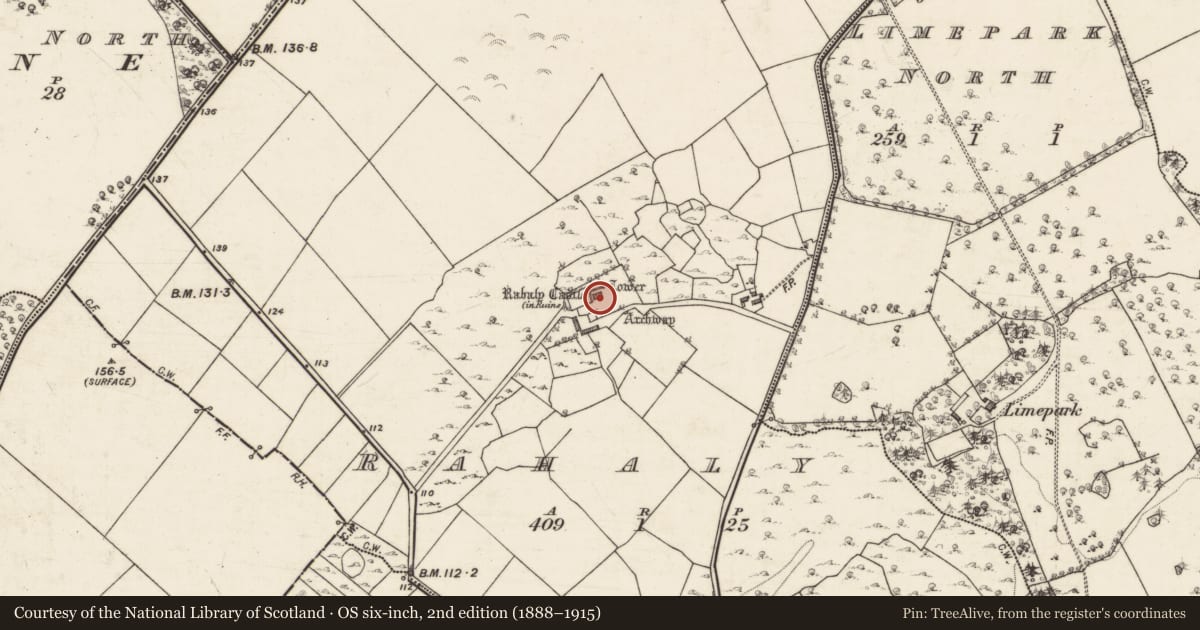 Ordnance Survey six-inch map, 2nd edition (1888–1915) covering the location of Bawn, Rahaly, County Galway, with a pin at the register's coordinates