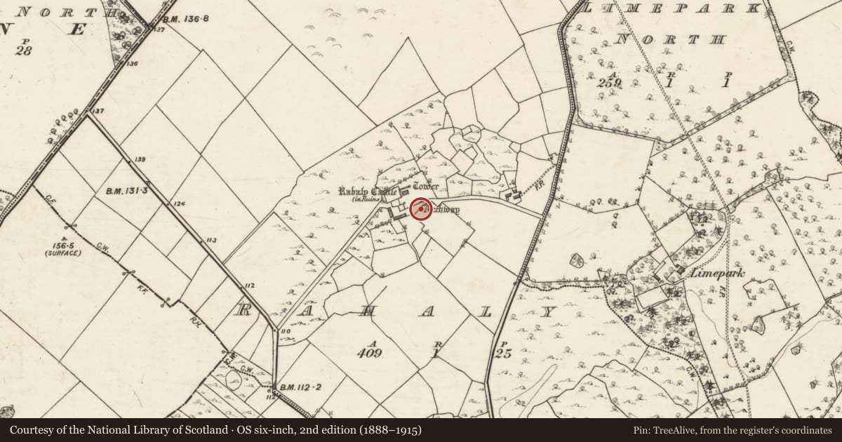 Ordnance Survey six-inch map, 2nd edition (1888–1915) covering the location of Gateway, Rahaly, County Galway, with a pin at the register's coordinates