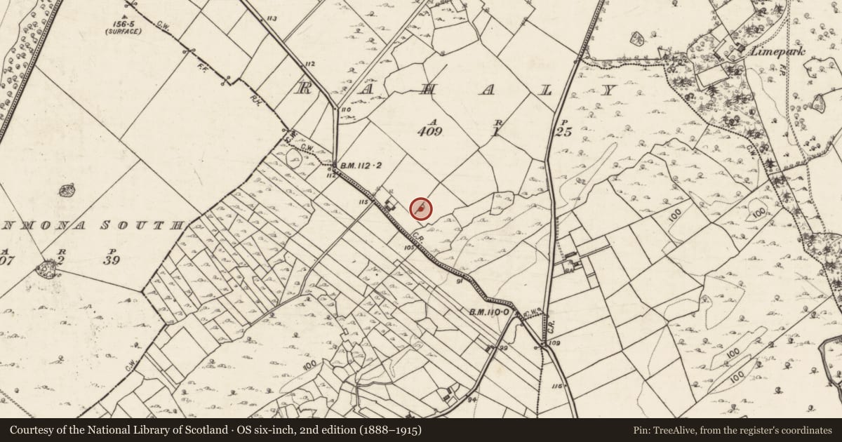 Ordnance Survey six-inch map, 2nd edition (1888–1915) covering the location of Enclosure, Rahaly, County Galway, with a pin at the register's coordinates