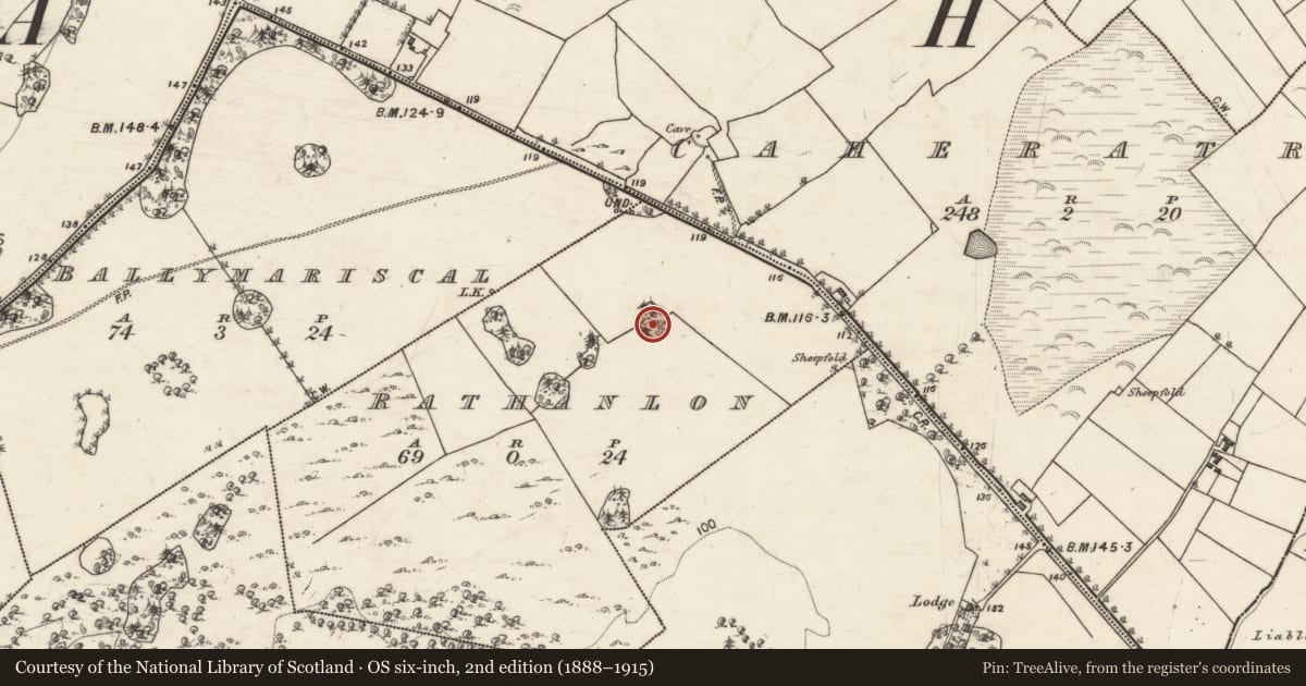 Ordnance Survey six-inch map, 2nd edition (1888–1915) covering the location of Ringfort - cashel, Rathanlon, County Galway, with a pin at the register's coordinates