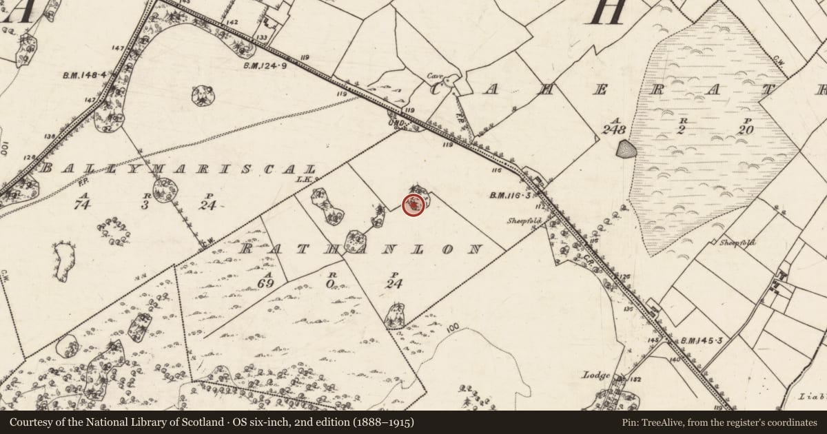 Ordnance Survey six-inch map, 2nd edition (1888–1915) covering the location of Souterrain, Rathanlon, County Galway, with a pin at the register's coordinates