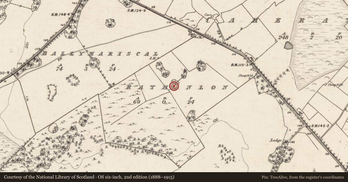 Ordnance Survey six-inch map, 2nd edition (1888–1915) covering the location of Designed landscape feature, Rathanlon, County Galway, with a pin at the register's coordinates