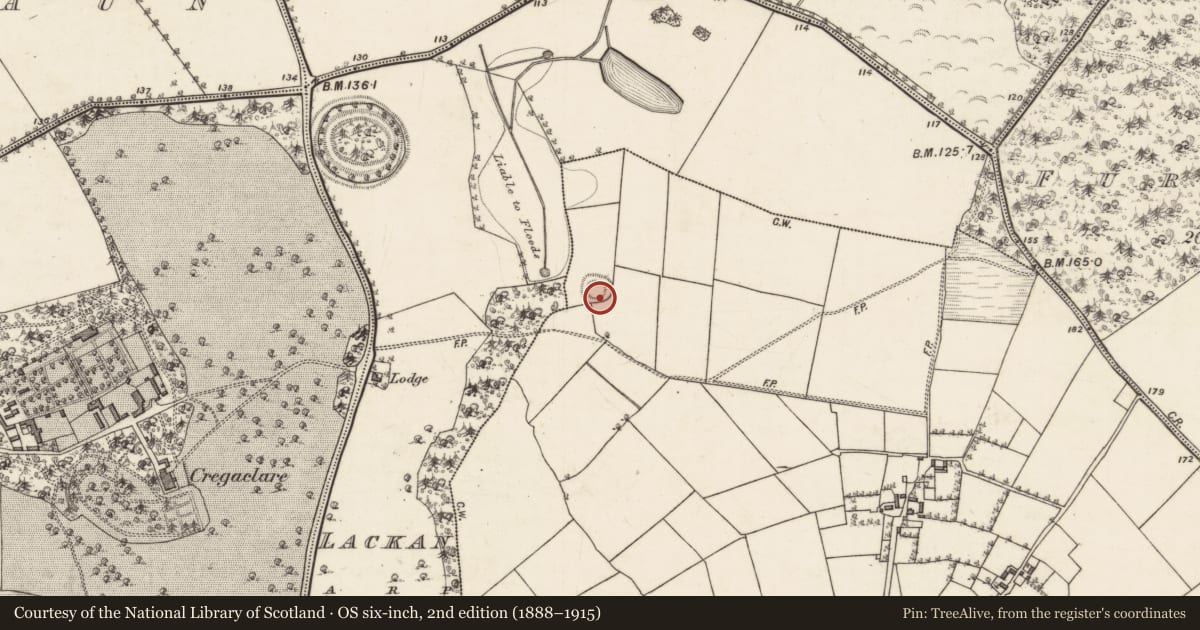 Ordnance Survey six-inch map, 2nd edition (1888–1915) covering the location of Ringfort - rath, Rathbaun, County Galway, with a pin at the register's coordinates