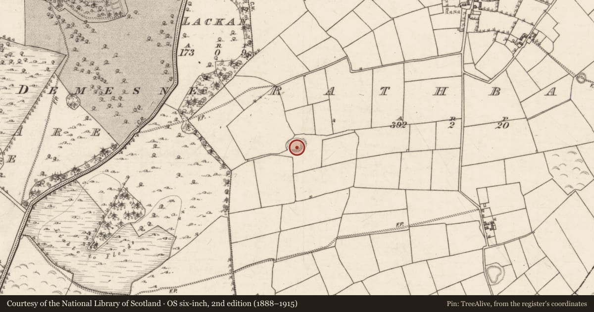 Ordnance Survey six-inch map, 2nd edition (1888–1915) covering the location of Ringfort - rath, Rathbaun, County Galway, with a pin at the register's coordinates