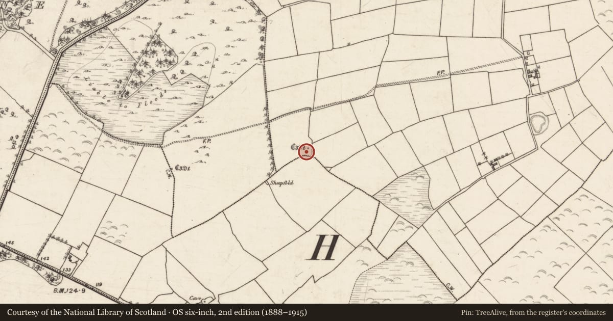 Ordnance Survey six-inch map, 2nd edition (1888–1915) covering the location of Ringfort - rath, Rathbaun, County Galway, with a pin at the register's coordinates