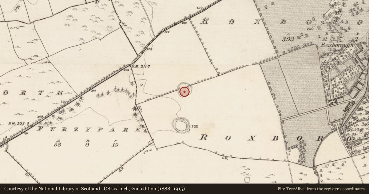 Ordnance Survey six-inch map, 2nd edition (1888–1915) covering the location of Ringfort - rath, Roxborough, County Galway, with a pin at the register's coordinates