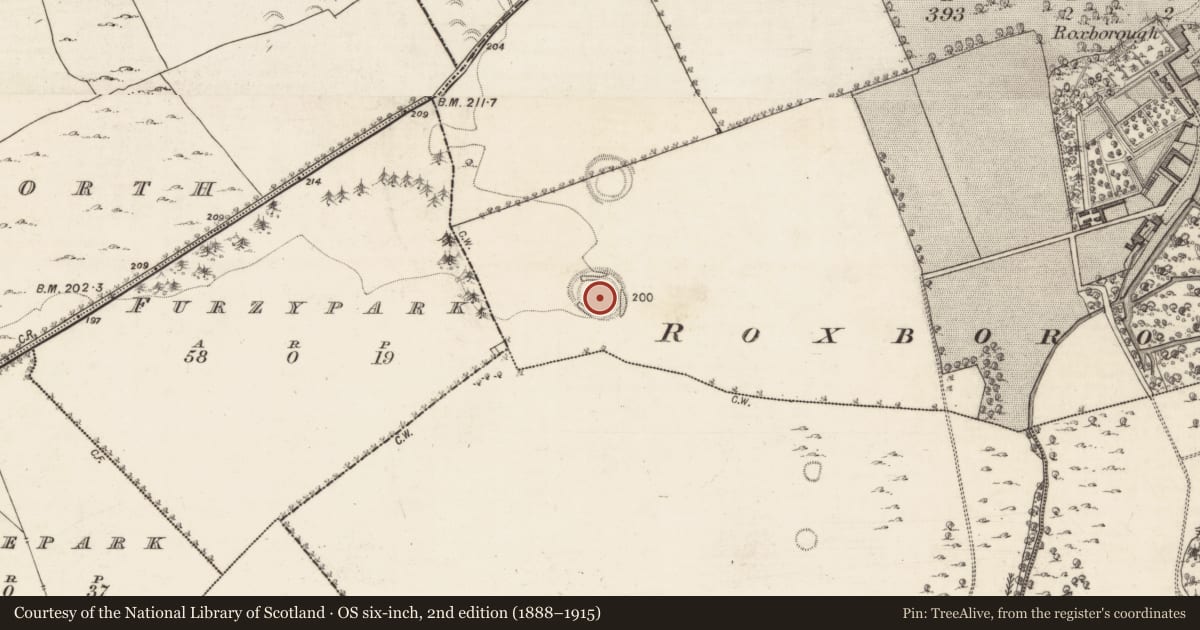 Ordnance Survey six-inch map, 2nd edition (1888–1915) covering the location of Ringfort - rath, Roxborough, County Galway, with a pin at the register's coordinates