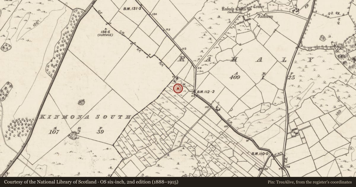 Ordnance Survey six-inch map, 2nd edition (1888–1915) covering the location of Ringfort - unclassified, Skehanagh, County Galway, with a pin at the register's coordinates