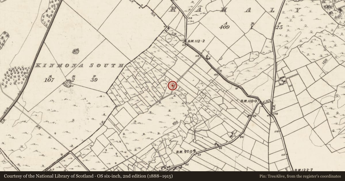 Ordnance Survey six-inch map, 2nd edition (1888–1915) covering the location of Ringfort - cashel, Skehanagh, County Galway, with a pin at the register's coordinates
