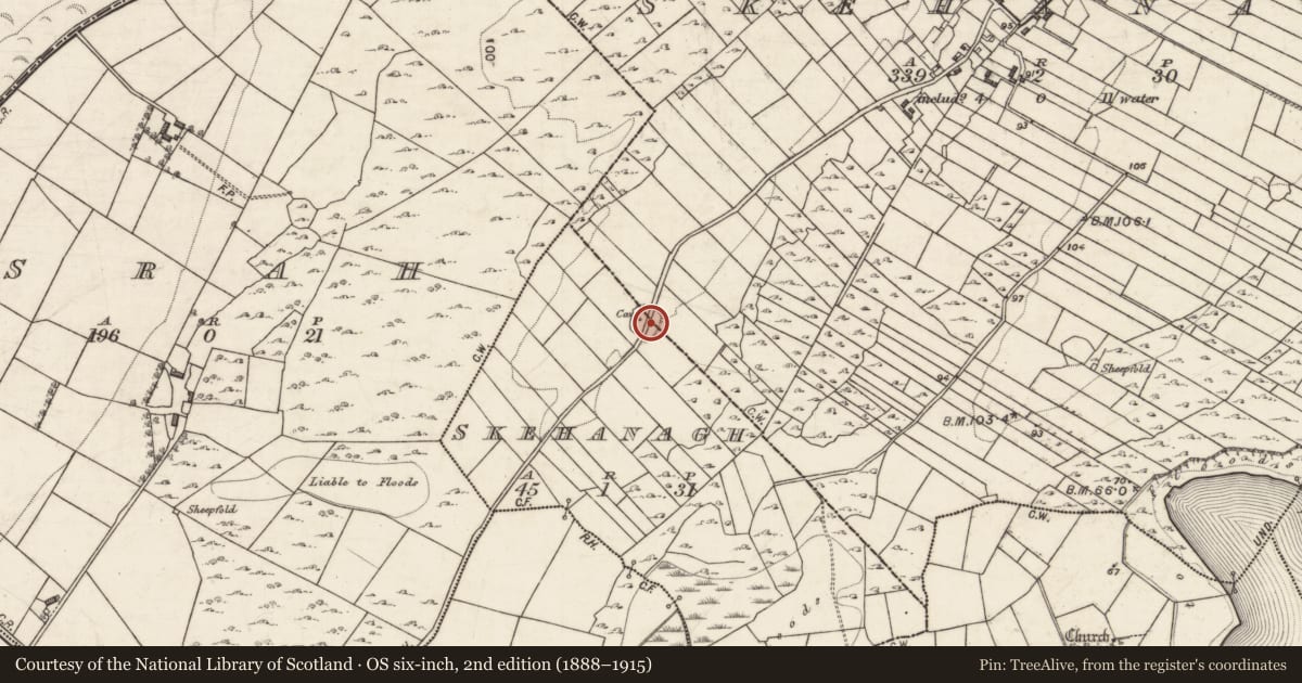 Ordnance Survey six-inch map, 2nd edition (1888–1915) covering the location of Souterrain, Skehanagh, County Galway, with a pin at the register's coordinates