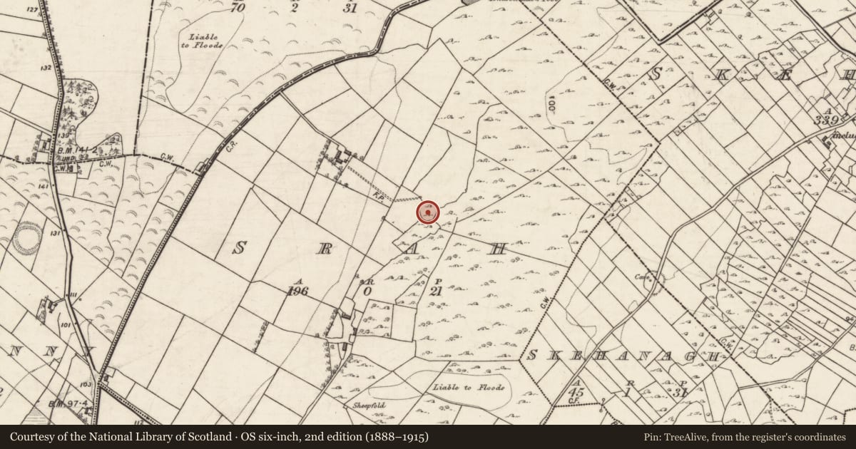 Ordnance Survey six-inch map, 2nd edition (1888–1915) covering the location of Ringfort - cashel, Srah, County Galway, with a pin at the register's coordinates
