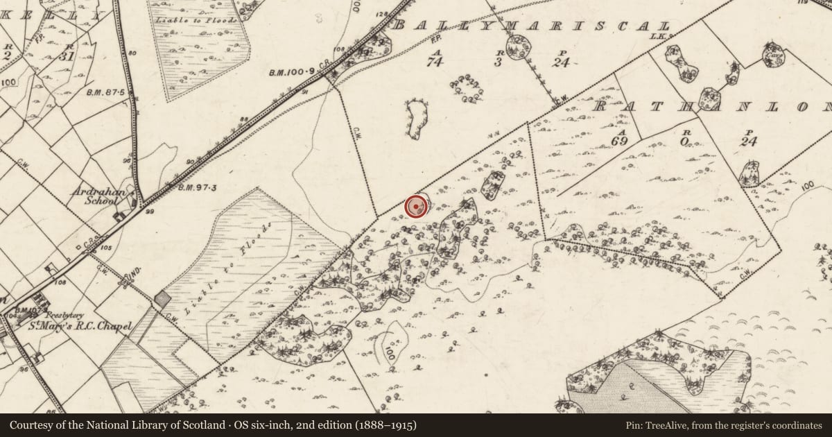 Ordnance Survey six-inch map, 2nd edition (1888–1915) covering the location of Souterrain, Tullira, County Galway, with a pin at the register's coordinates