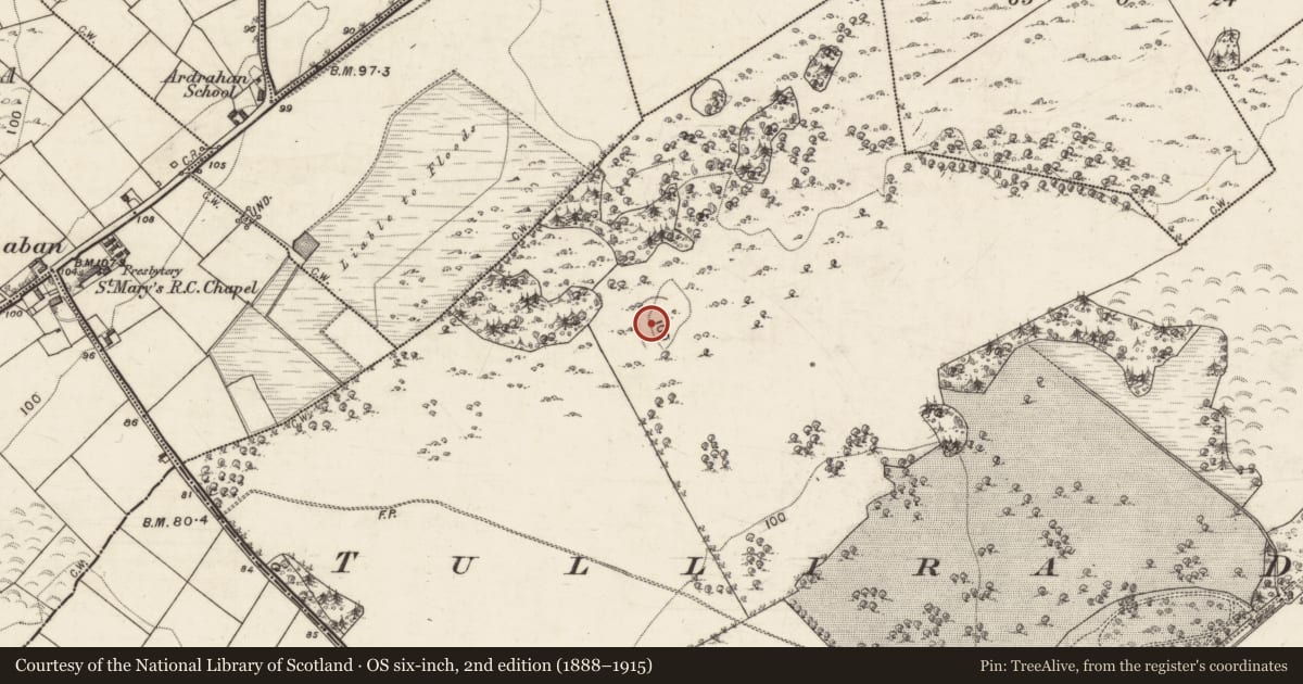 Ordnance Survey six-inch map, 2nd edition (1888–1915) covering the location of House - indeterminate date, Tullira, County Galway, with a pin at the register's coordinates