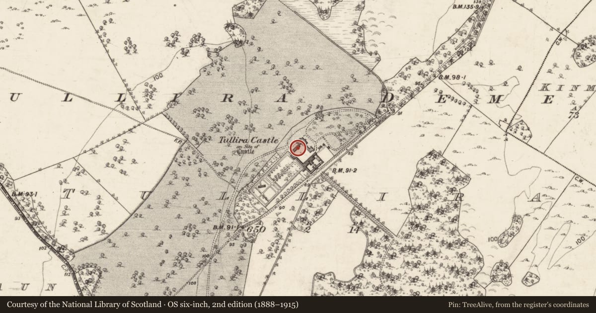 Ordnance Survey six-inch map, 2nd edition (1888–1915) covering the location of Castle - tower house, Tullira, County Galway, with a pin at the register's coordinates