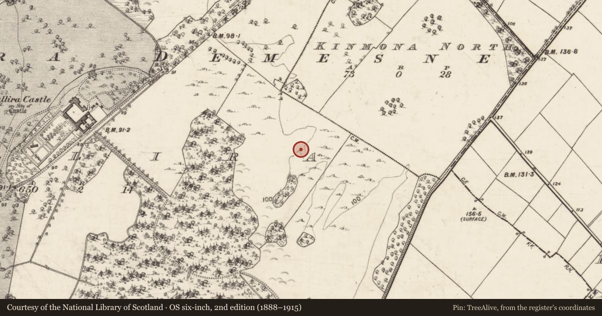 Ordnance Survey six-inch map, 2nd edition (1888–1915) covering the location of Enclosure, Tullira, County Galway, with a pin at the register's coordinates
