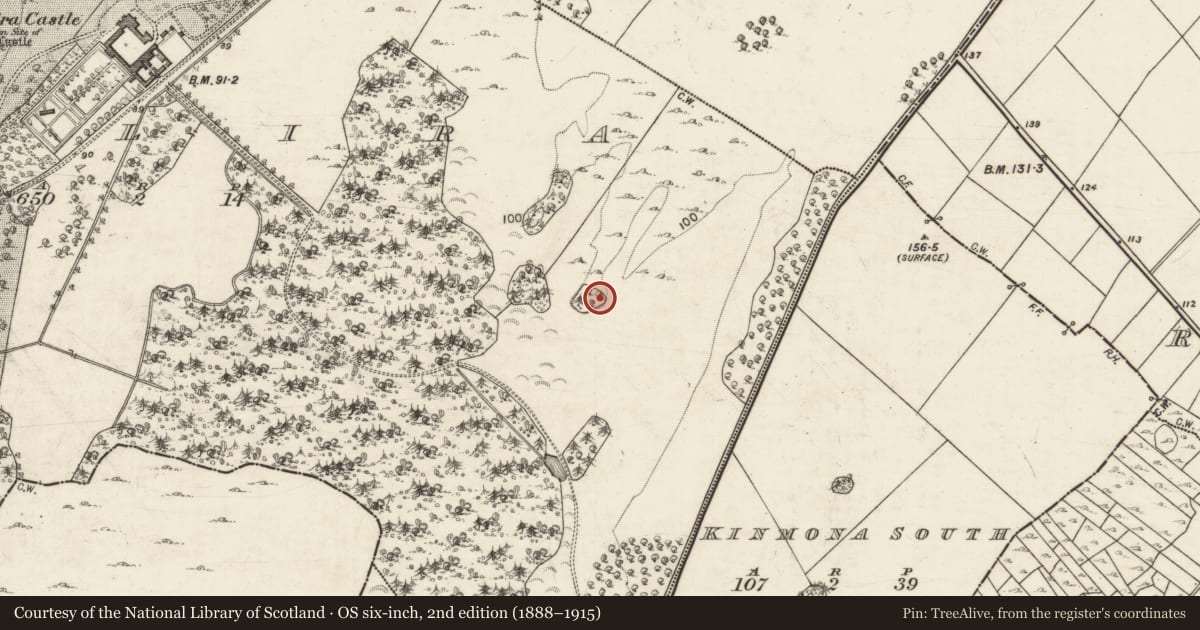Ordnance Survey six-inch map, 2nd edition (1888–1915) covering the location of Enclosure, Tullira, County Galway, with a pin at the register's coordinates
