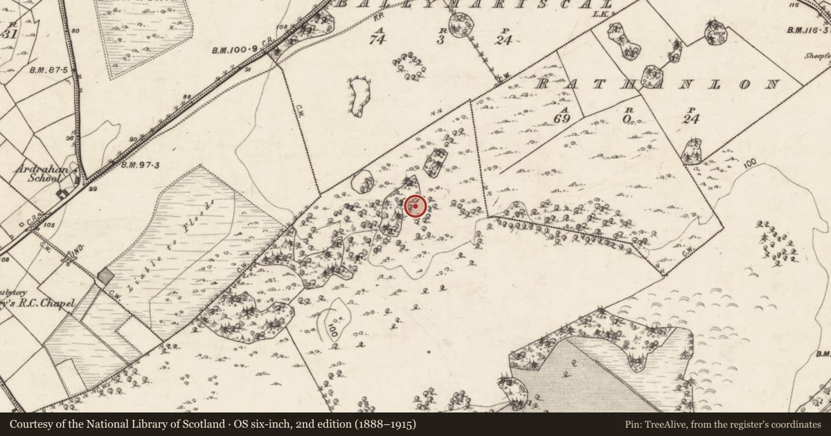 Ordnance Survey six-inch map, 2nd edition (1888–1915) covering the location of Ringfort - cashel, Tullira, County Galway, with a pin at the register's coordinates