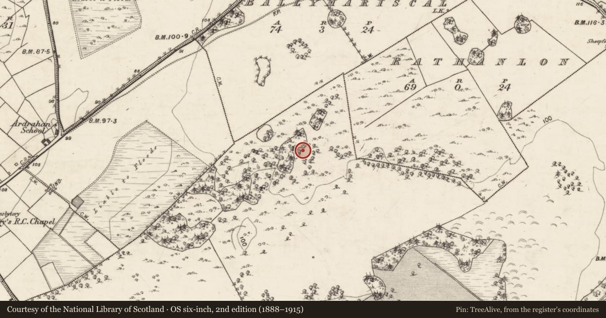 Ordnance Survey six-inch map, 2nd edition (1888–1915) covering the location of Souterrain, Tullira, County Galway, with a pin at the register's coordinates