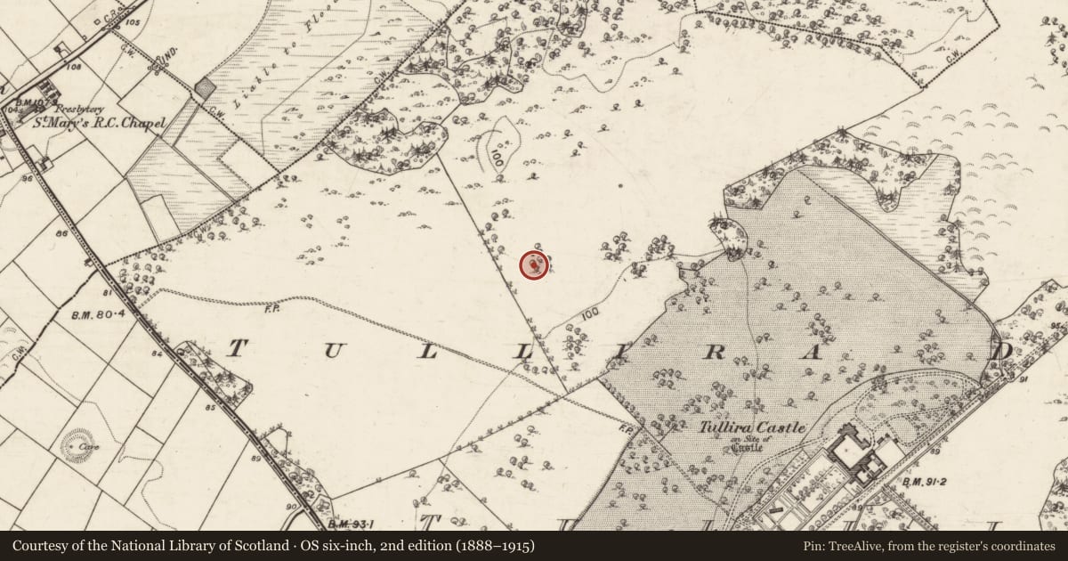 Ordnance Survey six-inch map, 2nd edition (1888–1915) covering the location of Designed landscape - tree-ring, Tullira, County Galway, with a pin at the register's coordinates
