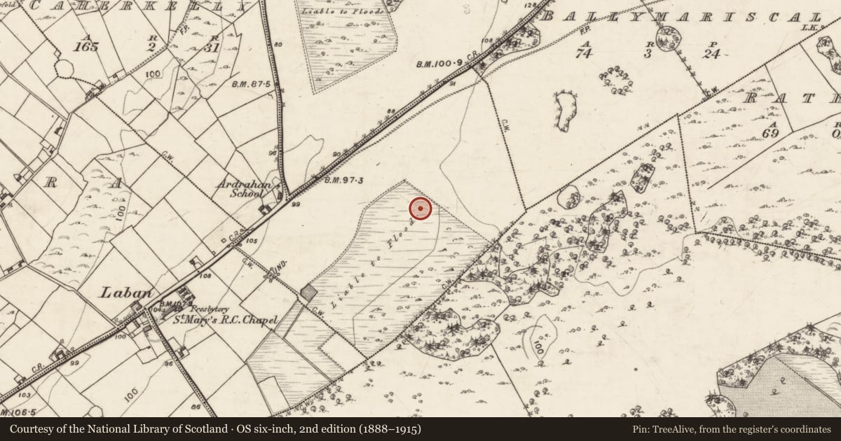 Ordnance Survey six-inch map, 2nd edition (1888–1915) covering the location of Fulacht fia, Caherkelly, County Galway, with a pin at the register's coordinates
