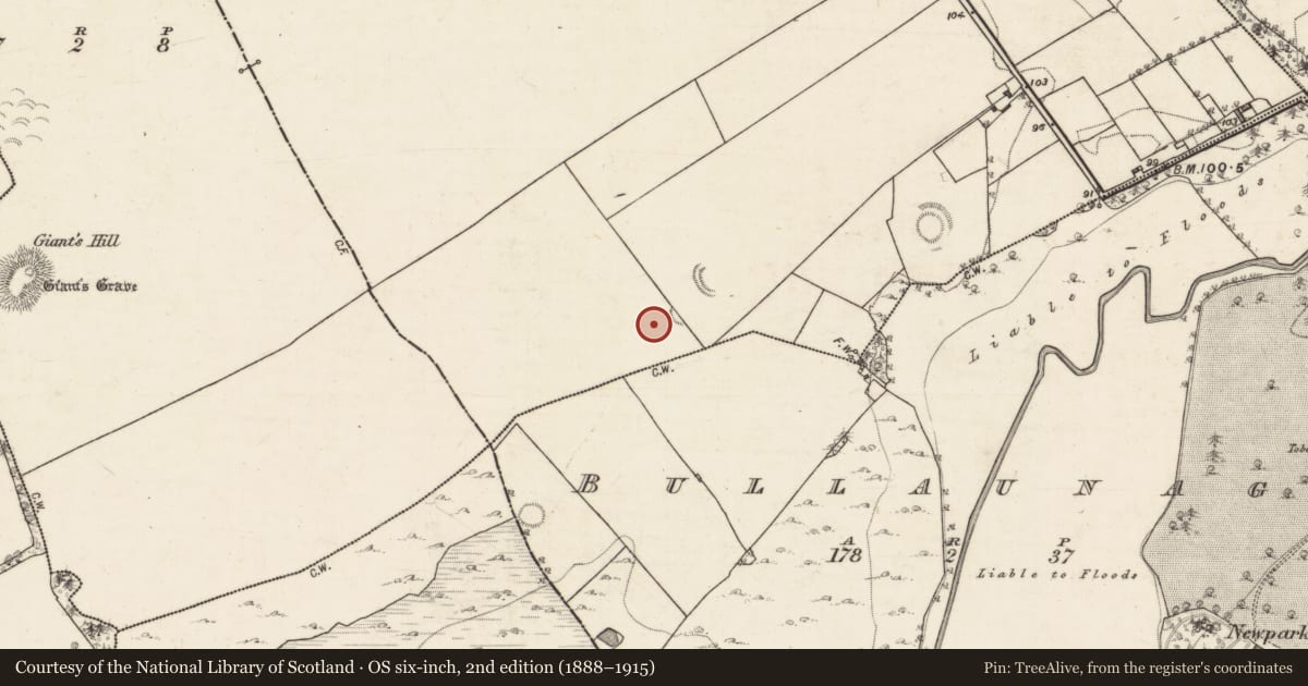 Ordnance Survey six-inch map, 2nd edition (1888–1915) covering the location of Enclosure, Grannagh, County Galway, with a pin at the register's coordinates