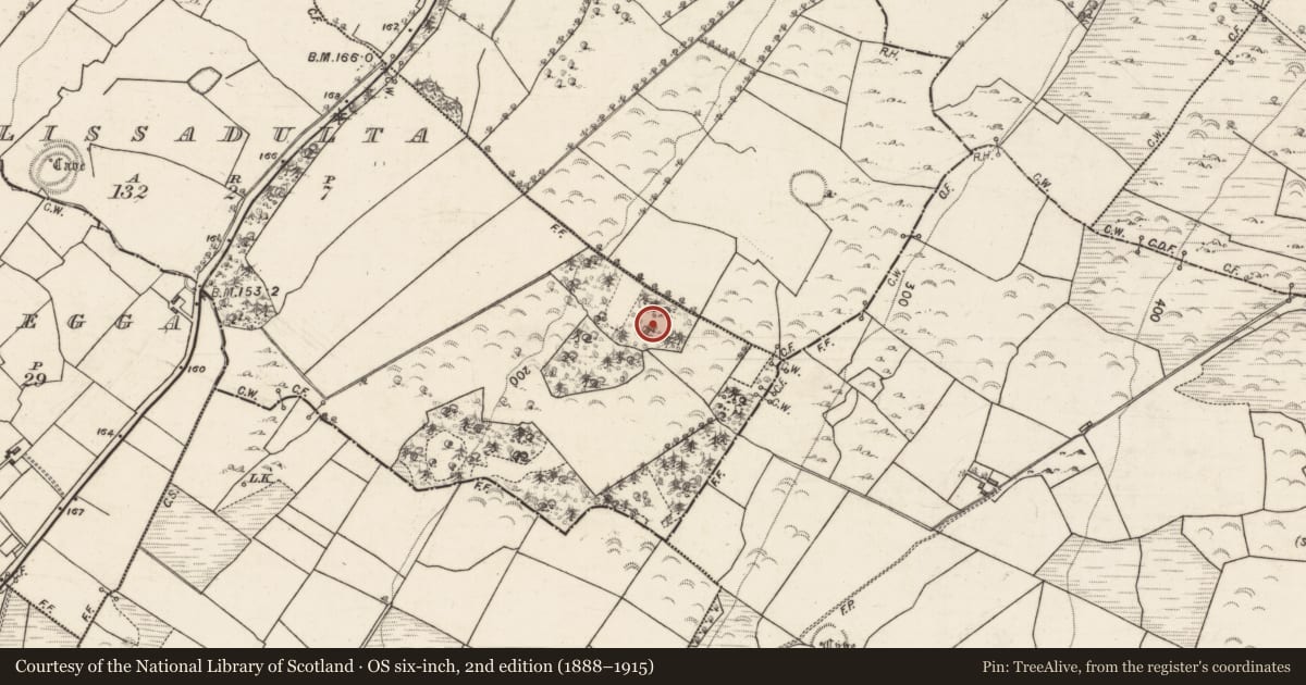 Ordnance Survey six-inch map, 2nd edition (1888–1915) covering the location of Architectural fragment, Lissadulta, County Galway, with a pin at the register's coordinates