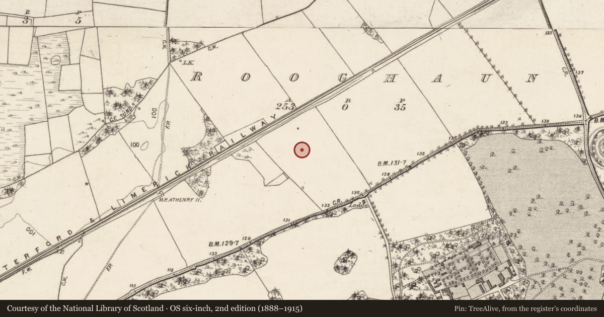 Ordnance Survey six-inch map, 2nd edition (1888–1915) covering the location of Cairn - radial-stone cairn, Rooghaun, County Galway, with a pin at the register's coordinates