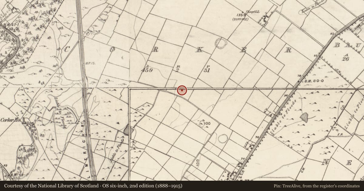 Ordnance Survey six-inch map, 2nd edition (1888–1915) covering the location of Ringfort - rath, Corker, County Galway, with a pin at the register's coordinates