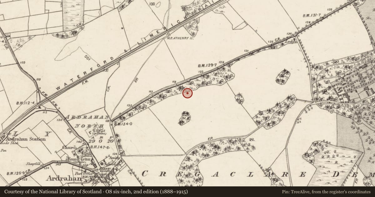 Ordnance Survey six-inch map, 2nd edition (1888–1915) covering the location of Architectural fragment, Cregaclare Demesne, County Galway, with a pin at the register's coordinates