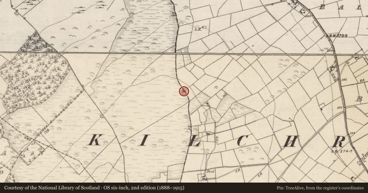 Ordnance Survey six-inch map, 2nd edition (1888–1915) covering the location of Ringfort - rath, Ballycuddy, Ballynacurragh, County Galway, with a pin at the register's coordinates