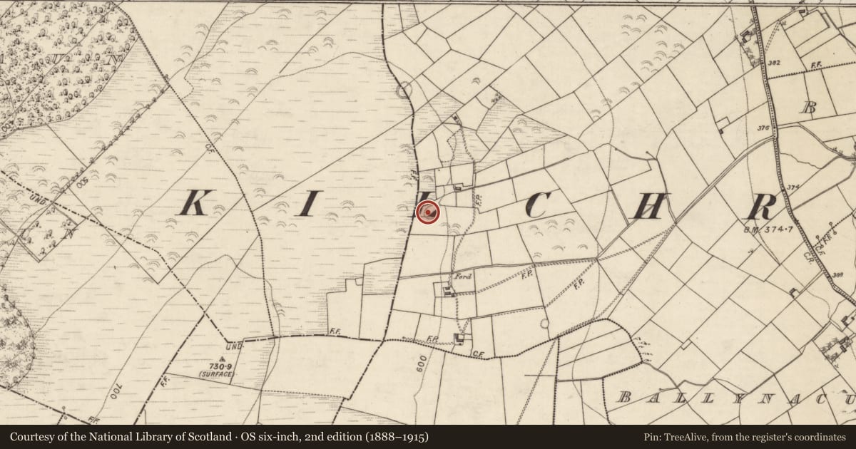 Ordnance Survey six-inch map, 2nd edition (1888–1915) covering the location of Ringfort - rath, Ballynacurragh, County Galway, with a pin at the register's coordinates