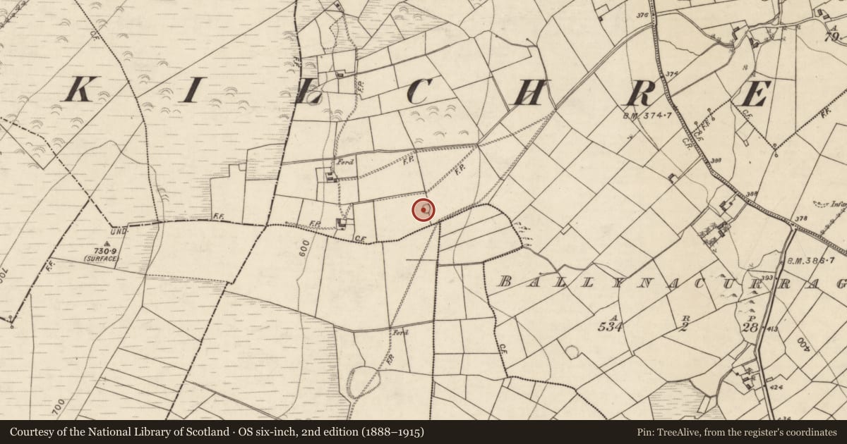 Ordnance Survey six-inch map, 2nd edition (1888–1915) covering the location of Quarry, Ballynacurragh, County Galway, with a pin at the register's coordinates