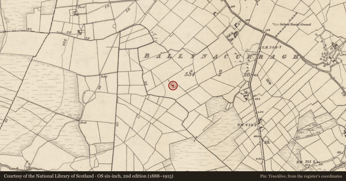 Ordnance Survey six-inch map, 2nd edition (1888–1915) covering the location of Children's burial ground, Ballynacurragh, County Galway, with a pin at the register's coordinates