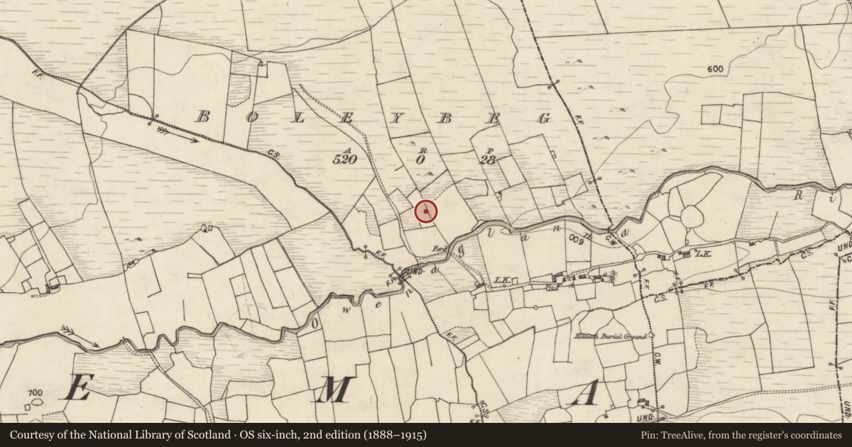 Ordnance Survey six-inch map, 2nd edition (1888–1915) covering the location of Kiln - lime, Boleybeg, County Galway, with a pin at the register's coordinates