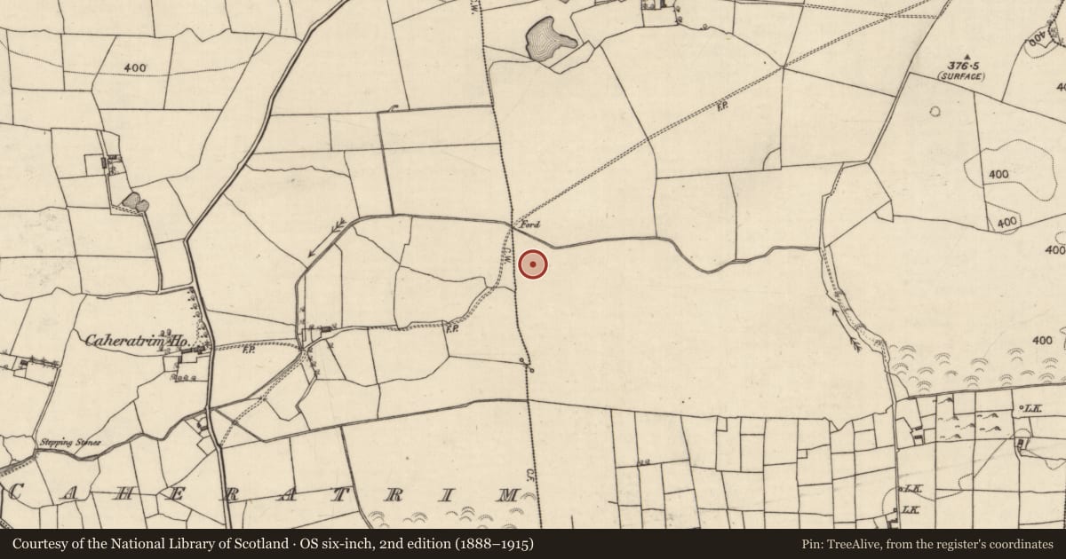 Ordnance Survey six-inch map, 2nd edition (1888–1915) covering the location of Megalithic tomb - wedge tomb, Burroge, County Galway, with a pin at the register's coordinates
